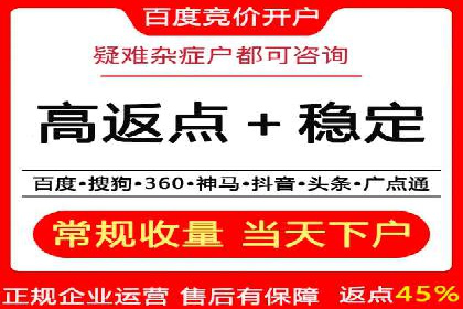SEO策略在电商平台的成功应用案例